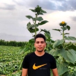 فروشگاه Mojtaba 