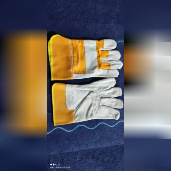 دستكش پاكستاني قيمت تحويل تهران 