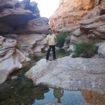 فروشگاه Mohamad Ali 