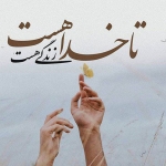 فروشگاه Mohammadi 