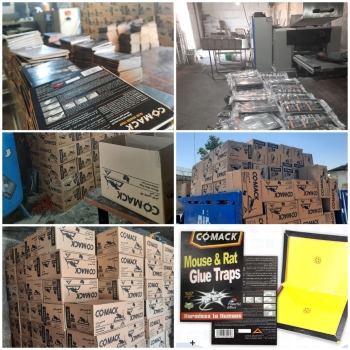 تولید کننده چسب موش کتابیبرند آشن