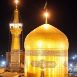 فروشگاه Morteza 