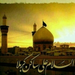 فروشگاه Ms8 