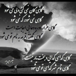 فروشگاه Hosein ZaRe
