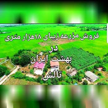 مزرعه 18هزارمتری در بهشت تالش
