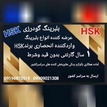 بلبرینگ گودرزینماینده انحصاری برن