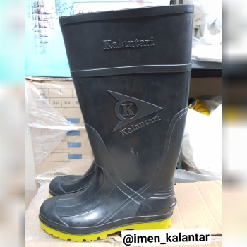 تولید جدید------------------------