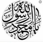فروشگاه Yaser Mohseni