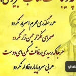 فروشگاه Mohamad Bakhtiary