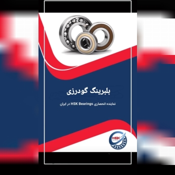 پخش بلبرینگ گودرزی(بازار تهران)   