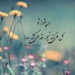 فروشگاه Mahdi