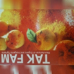 شرکت تاک فام