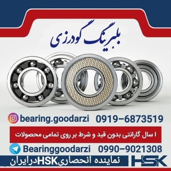 پخش بلبرینگ گودرزی(بازار تهران)   