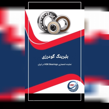 پخش بلبرینگ گودرزی(بازار تهران)   