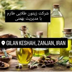 روغن زیتون و زیتون کنسروی
