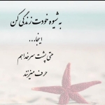 فروشگاه محسن 