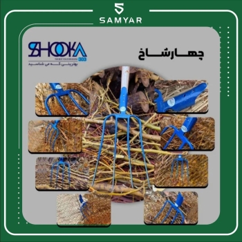 ? چهار شاخ یک تیکه شوکا   