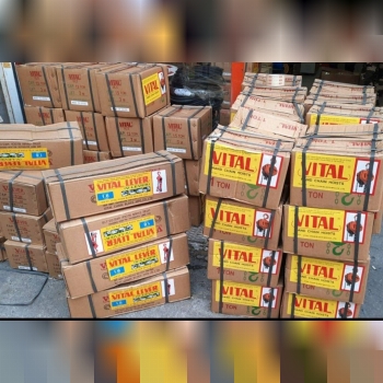 جرثقیلهایی دستی ویتال بلبرینگی 