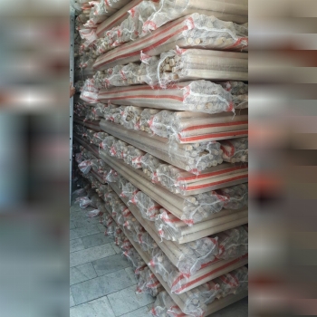  دسته بیل روسی سوپر 