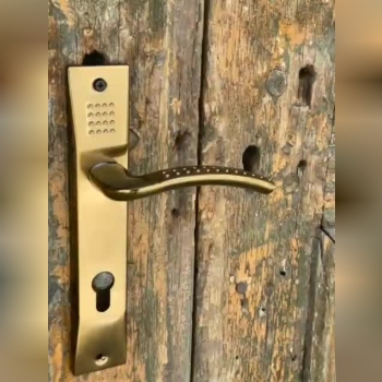 کروم /زیتونی 