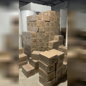 پخش عمده میخ مفتولی