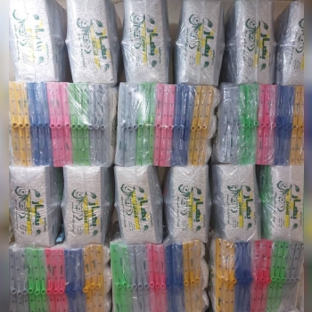 زمین شوی بهار