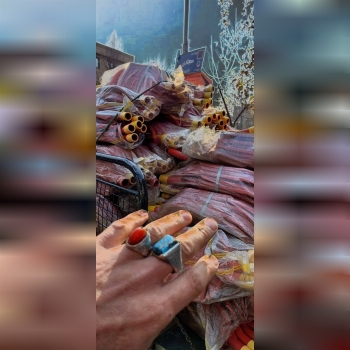 پارو لبه دار 