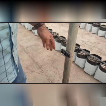 بادرود خدمت باغداران و گلخانه داران محترم 