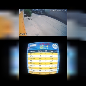 رابیتس لوتوس