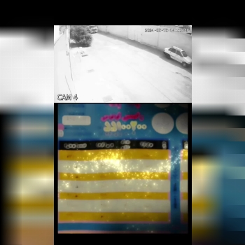 رابیتس لوتوس