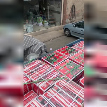 سفره پروفیل بر SS