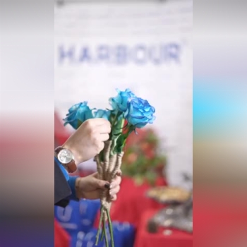 دوستان گرامی،