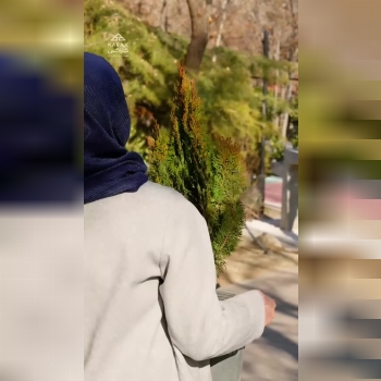  15 اسفند روز درختکاری