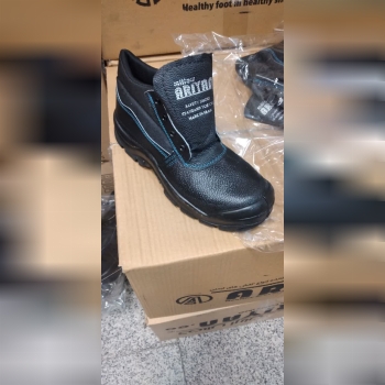 پوتین ایمنی اریا