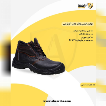 معرفی پوتین ایمنی اکونومی بابک