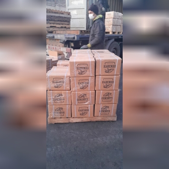 تمام محصولات برند کارنزو شارژ شد 