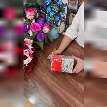 قفل حیاطی VIZA ویزا ITALY 