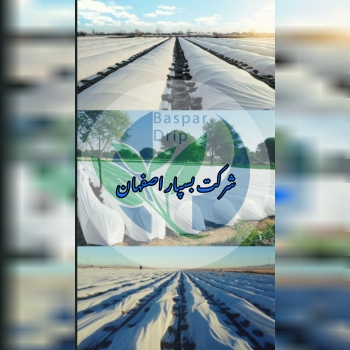 فوم های ضد سرما