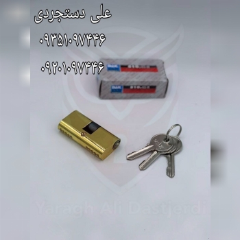 سیلندر ۲/۵ داک DAK کارتن ۲۰۰ عدد