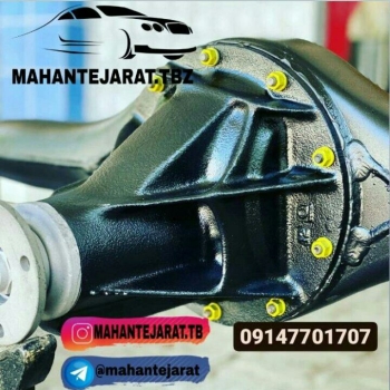 کله گاوی پیکان . آردی . روآ معمولی روآ