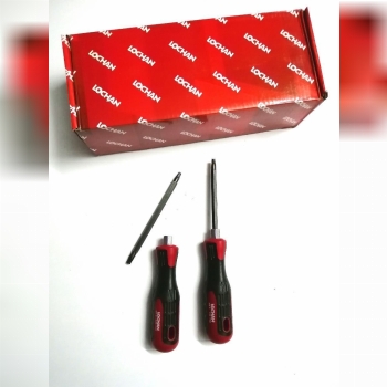 پیچ گوشتی دوطرفه تی 20_تی 30 LOCHAN