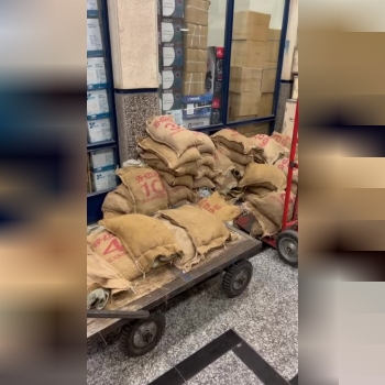 زنجیر گالوانیزه جوشی یا زنجیرهای زینک شده که به زن