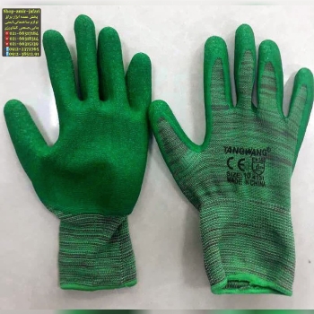 پخش عمده TANGWANG 