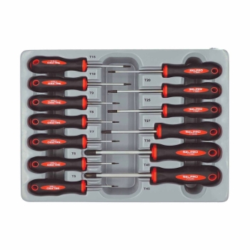  ست پيچ گوشتى ستاره ایی 13 عددی 