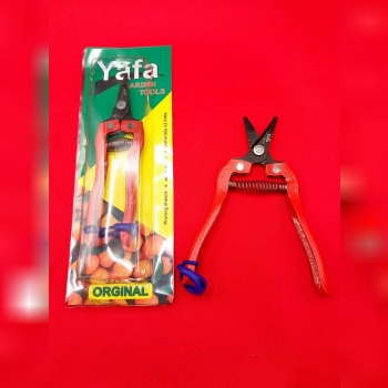 قیچی میوه چینی نوک کوتاه سر کج