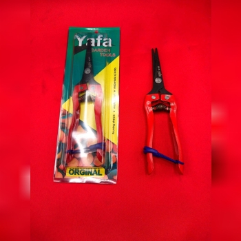 قیچی میوه چینی نوک بلند سر صاف