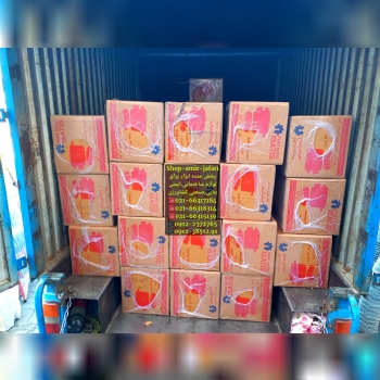 پخش عمده انواع قفل سپه 