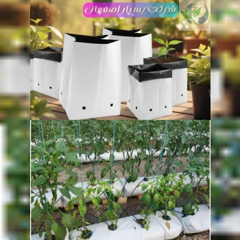 کیسه کشت گروبگ