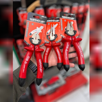 انبرالات ضد برق وایزاپ