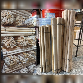 دسته پتک ممتاز جنگلی 